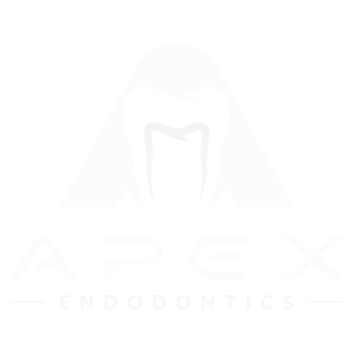 Apex Endo Logo in White